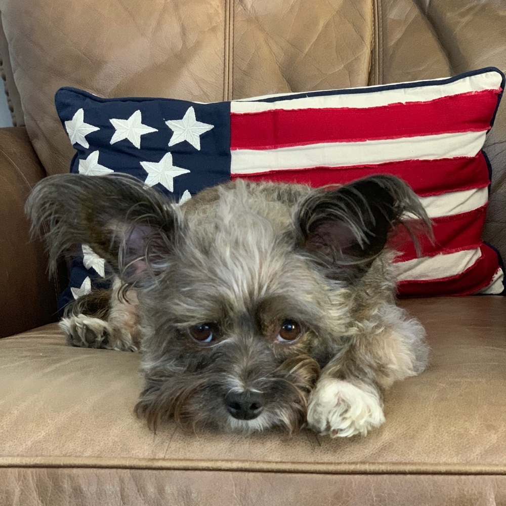 Meet your Posher, Wendy